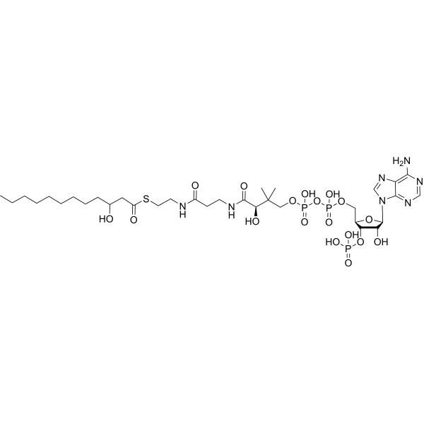 S-(3-Hydroxydodecanoate)-CoA 72059-49-5